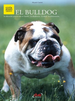 cover image of El bulldog